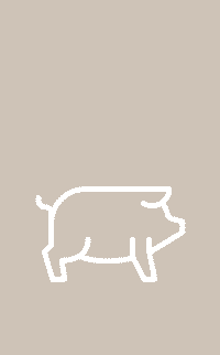 pork meals icon.png