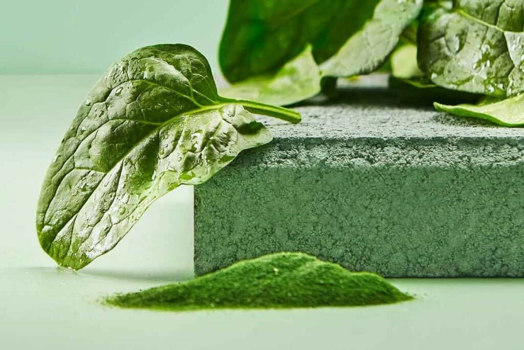 nutriv vegetable powder spinach leaf 2